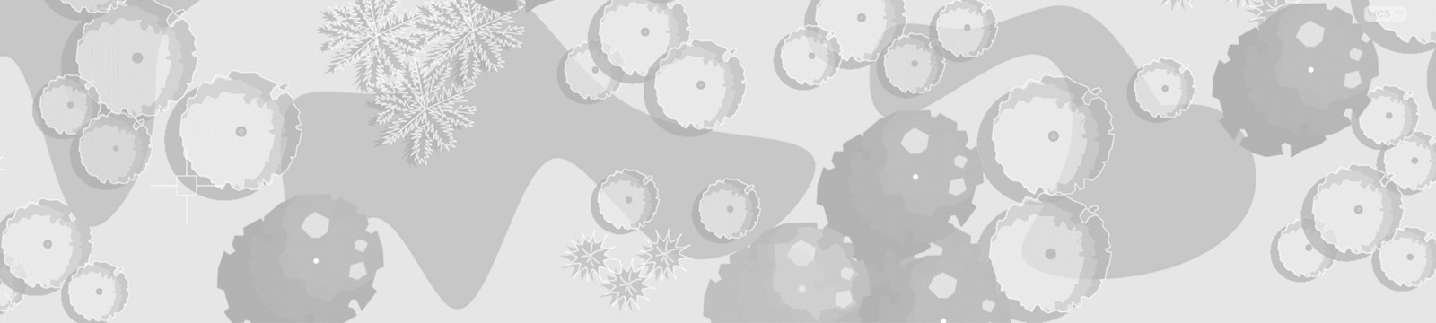 aysen dindar header